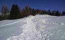 Winter Trail - vl ©